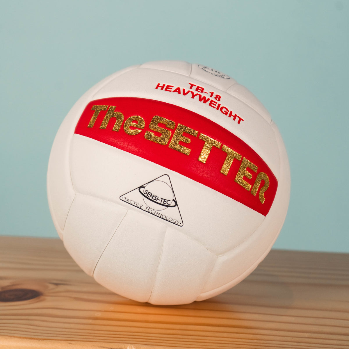 Tachikara® tb18 the setter® heavyweight volleyball